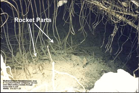 fig11.gif (168022 bytes)