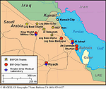 fig3s.gif (11217 bytes)