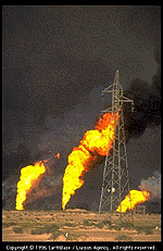 fig1s.gif (27837 bytes)